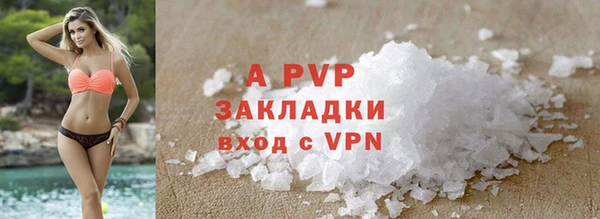 трава Гусь-Хрустальный