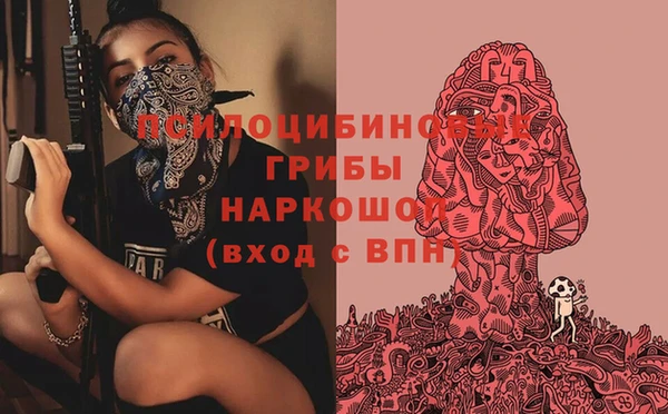 гидра Горно-Алтайск