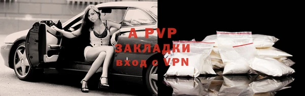 альфа пвп Гусиноозёрск