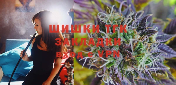 тгк Гусев