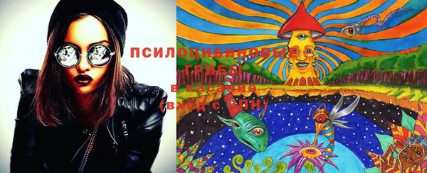 первитин Горнозаводск