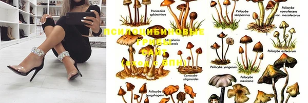 2c-b Дмитровск